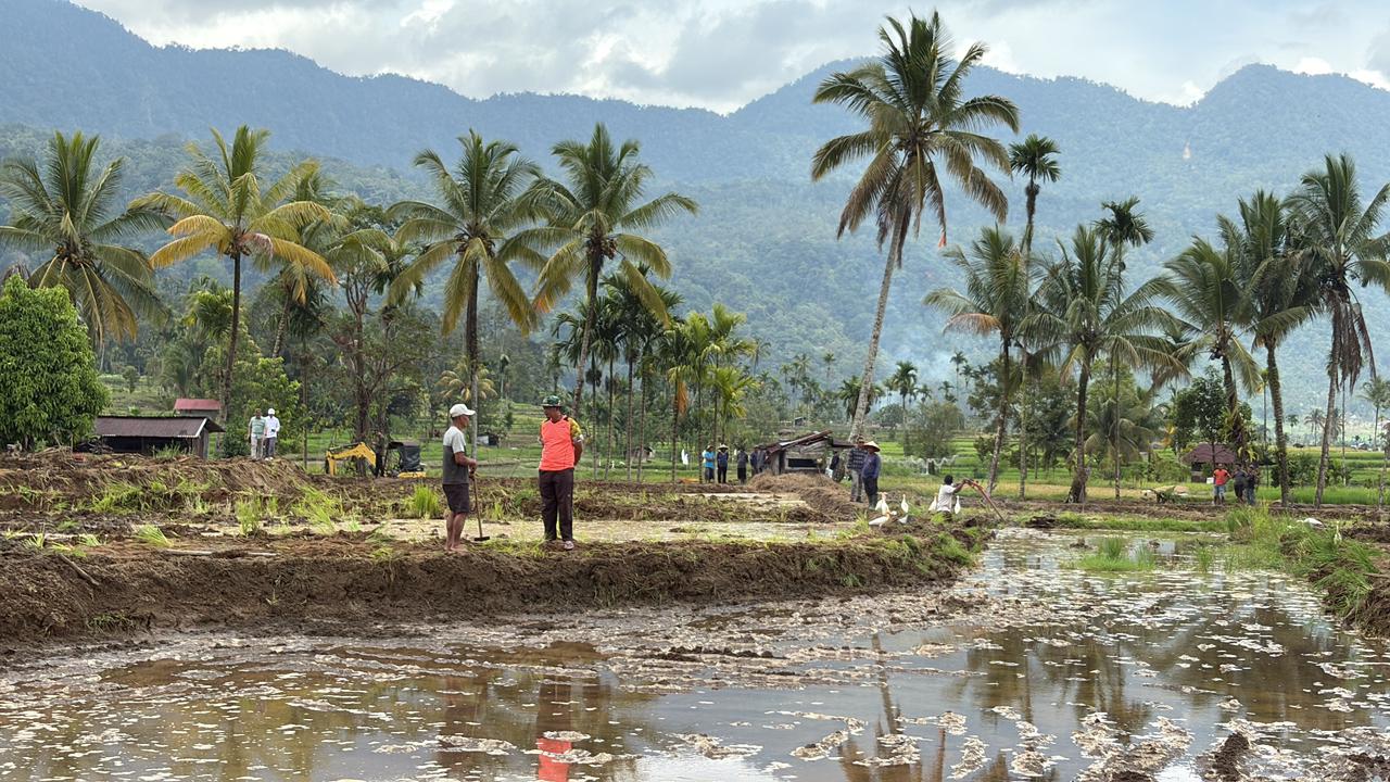 Kementan Percepat Rehabilitasi Lahan Pertanian Pascabencana di Sumatera Barat