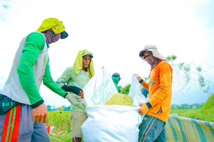 Hasil produksi beras petani Indonesia.
