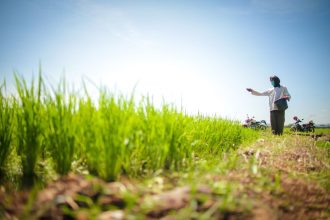 Seorang petani menabur pupuk di lahan pertanian.