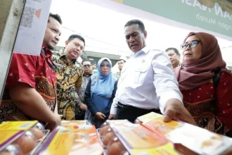 Menteri Pertanian Andi Amran Sulaiman pantau harga pangan di pasar, baru-baru ini.