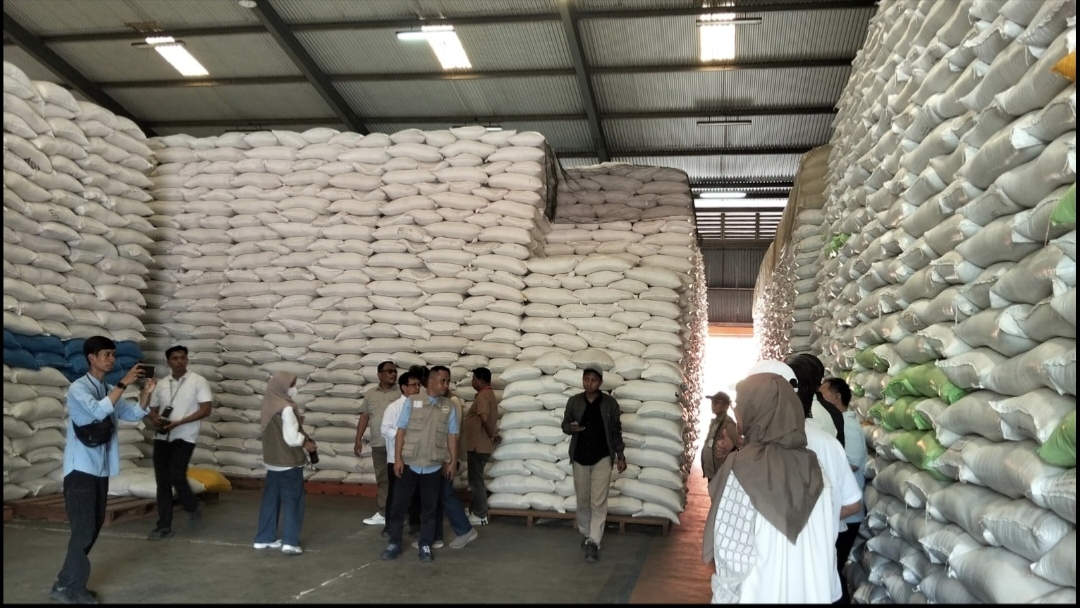 Kritik Prof Hasil Sembiring terhadap pernyataan Feri Amsari soal swasembada pangan