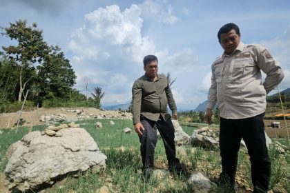 Program Kementan Horticulture Development in Dryland Areas Project (HDDAP) di Kabupaten Enrekang akan dilaksanakan di 10 kecamatan dengan fokus pengembangan komoditas unggulan hortikultura.
