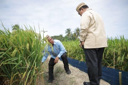Presiden Prabowo Subianto bersama Menteri Pertanian meninjau area pertanian pada kegiatan PENAS XVII 2026 di Gorontalo.
