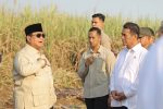 prabowo andi amran sulaiman tinjau lahan tebu swasembada gula