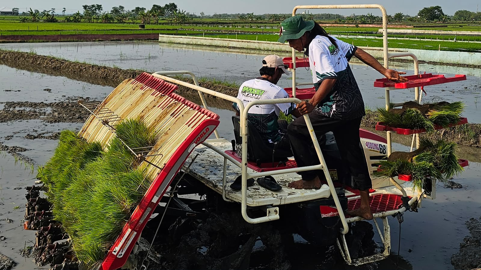 Produksi beras