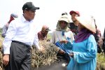 Menteri Pertanian (Mentan) Andi Amran Sulaiman saat menemukan langsung kondisi buruh tani di tengah kunjungan kerjanya di Karawang Timur, Jawa Barat