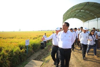 Menteri Pertanian (Mentan) Andi Amran Sulaiman menegaskan hal tersebut saat meninjau langsung penerapan PM-AAS di Kabupaten Subang, Jawa Barat