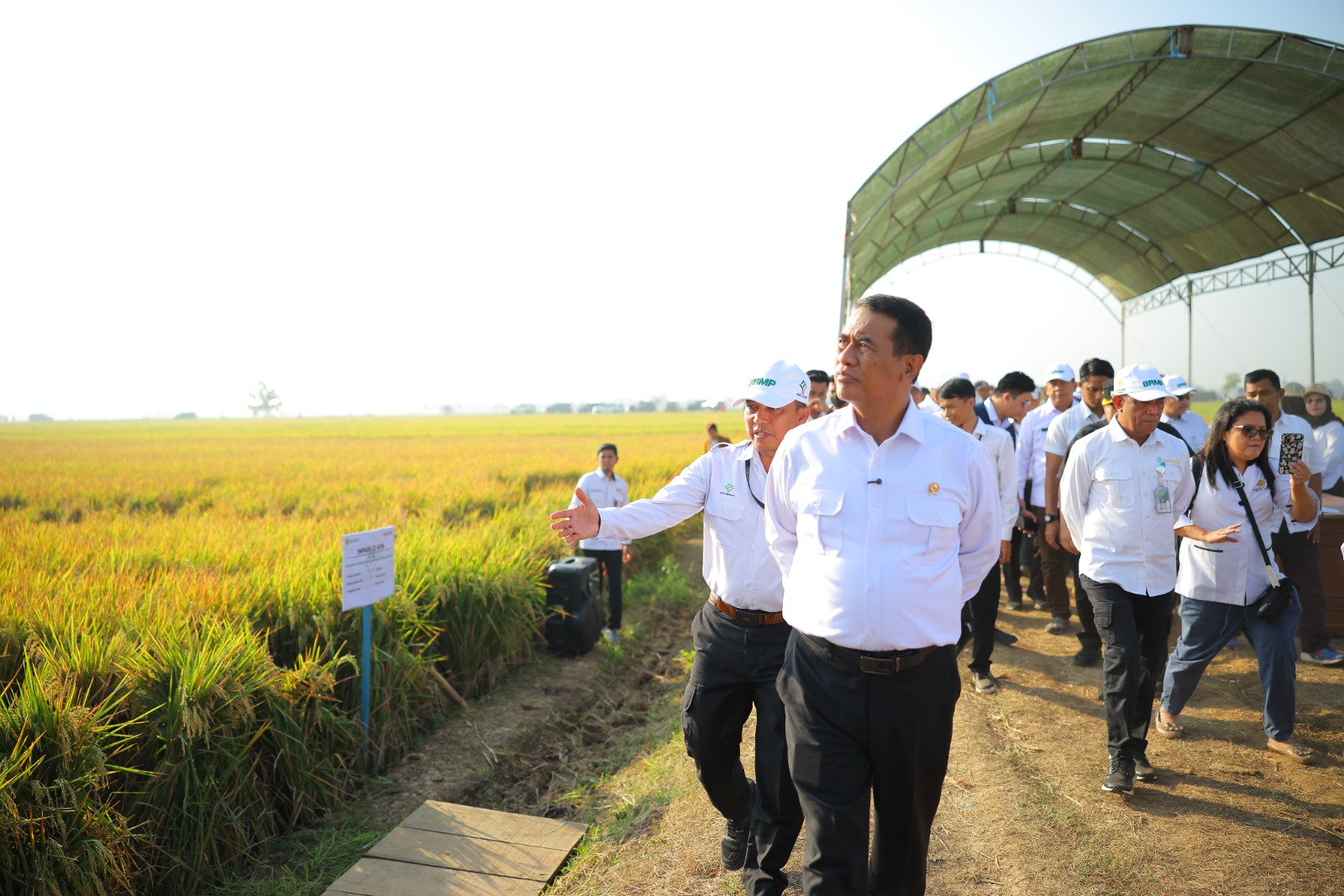 Menteri Pertanian (Mentan) Andi Amran Sulaiman menegaskan hal tersebut saat meninjau langsung penerapan PM-AAS di Kabupaten Subang, Jawa Barat