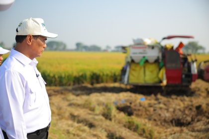 Menteri Pertanian (Mentan) Andi Amran Sulaiman saat meninjau sawah beberapa waktu lalu.