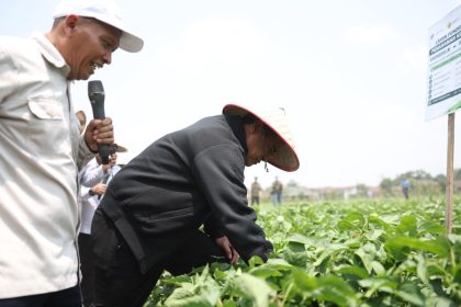 Menteri Pertanian (Mentan) Andi Amran Sulaiman tinjau PIAT UGM dan dorong pengembangan kedelai hingga 5.000 hadengan target produktivitas di atas 3 ton/ha di Kabupaten Grobogan, Jawa Tengah, Kamis (15/10/2026)