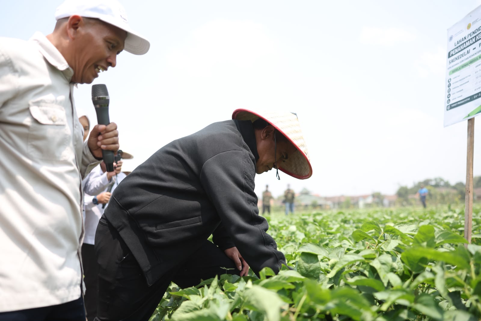 Menteri Pertanian (Mentan) Andi Amran Sulaiman tinjau PIAT UGM dan dorong pengembangan kedelai hingga 5.000 hadengan target produktivitas di atas 3 ton/ha di Kabupaten Grobogan, Jawa Tengah, Kamis (15/10/2026)